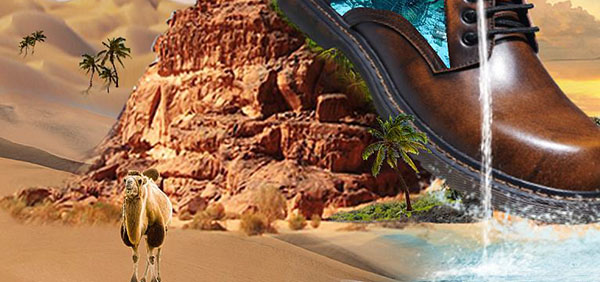 思维谷思维科学院